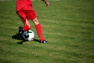 爱游戏app推荐-CBA球队加强后勤保障体系优化训练和比赛准备，cba后备联赛